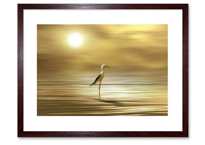 Lone Bird